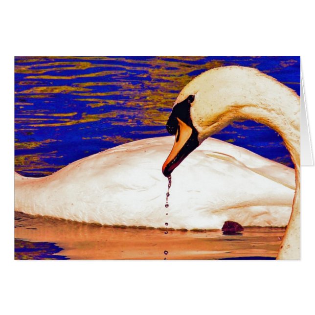 Alimentation des cygnes (Devant horizontal)