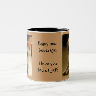 Alimentez aux animaux familiers la tasse
