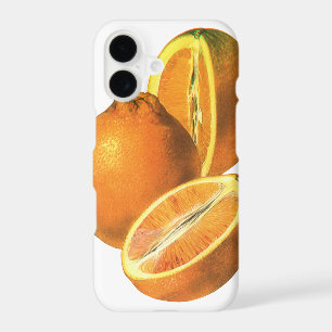 Aliments de Vintage, Oranges Fraîches Biologiques 