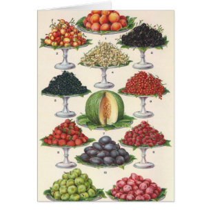 Aliments Vintage Assortiment de Fruits sur Plateau