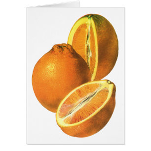Aliments vintages, Fruit Bio Oranges fraîches et s