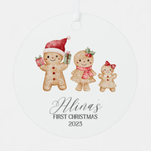 Alina Personalized Baby's First Christmas Metal Ornament