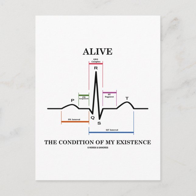 Alive The Condition Of My Existence (ECG/EKG) Postcard (Front)