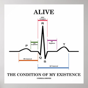 Alive The Condition Of My Existence (ECG/EKG) Poster