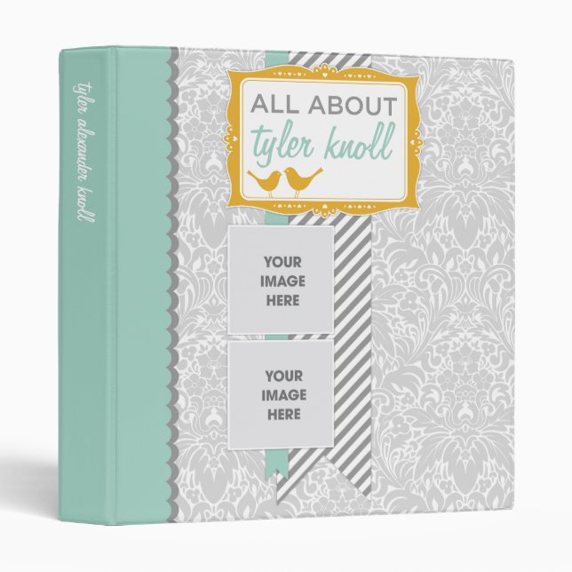 All About Baby Binder (Front/Spine)