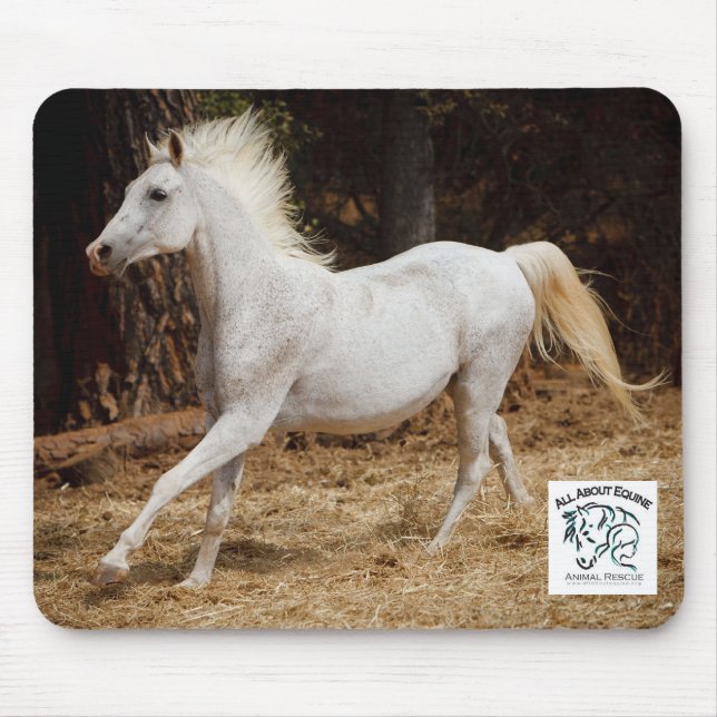All About Equine Mousepad Featuring Ziggy (Front)