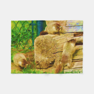All About The Marmots - Baby Yellow-bellied Marmot Fleece Blanket