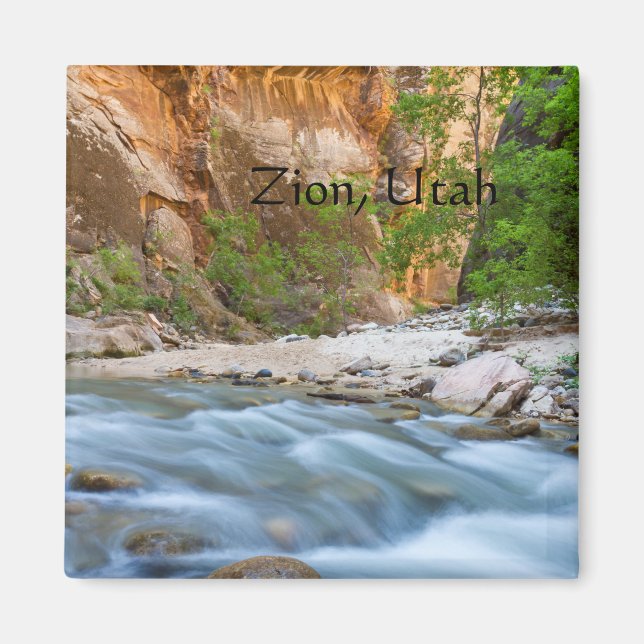 All along the Narrows Magnet (Front)