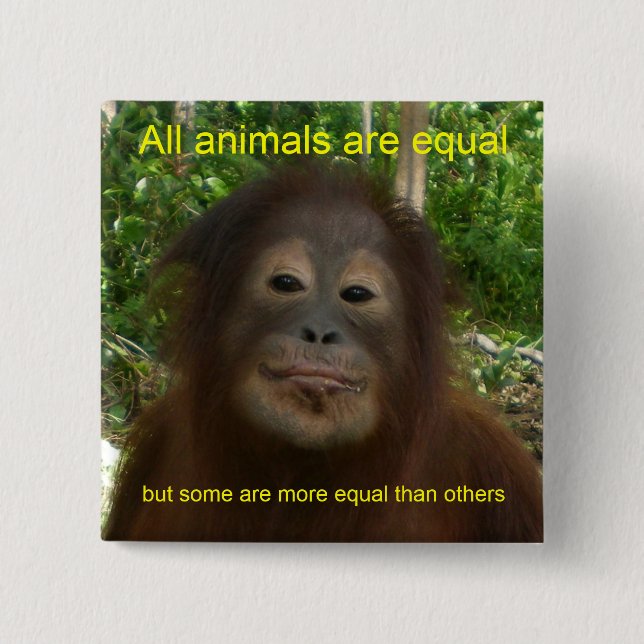 All Animals are Equal 2 Inch Square Button (Front)