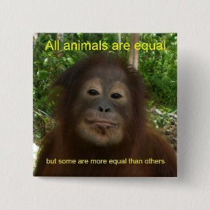 All Animals are Equal 2 Inch Square Button
