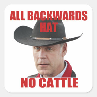 All Backwards Hat No Cattle Square Sticker
