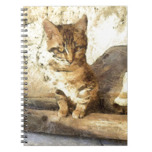 All Cats Are Black In The Dark Pencil Sketch Notebook