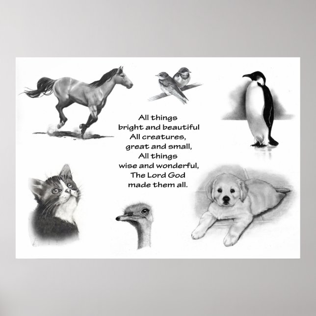 ALL CREATURES GREAT & SMALL: PENCIL DRAWINGS POSTER (Front)