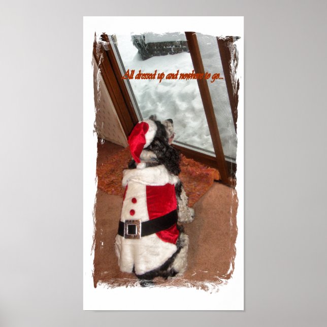 All dressed-up and nowhere to go poster (Front)