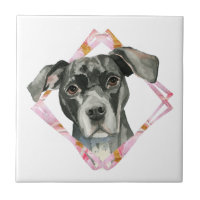 "All Ears" 2 Pit Bull Dog Watercolor Painting