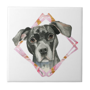"All Ears" 2 Pit Bull Dog Watercolor Painting Tile