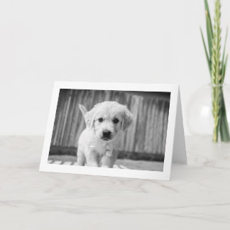 All Ears | Blank Card