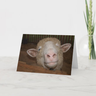 All Ears Card