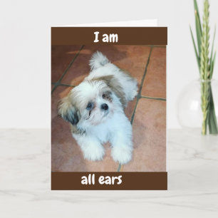 **ALL EARS/READY TO HEAR U HAD A HAPPY EASTER** HOLIDAY CARD