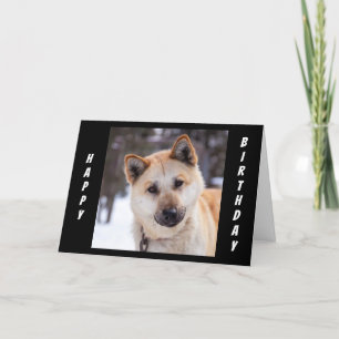 "ALL EARS" TO HEAR HOW YOU CELEBRATE YOUR BIRTHDAY CARD