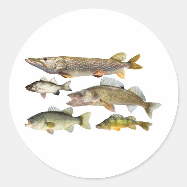 all-Fish Classic Round Sticker (Front)