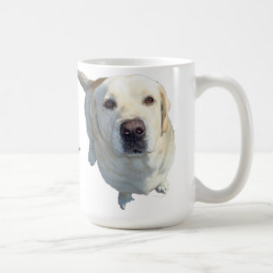 All food must go to the (yellow) Lab Coffee mug. Coffee Mug