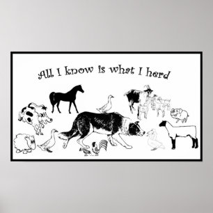 All I know is what I herd~Border Collie Print