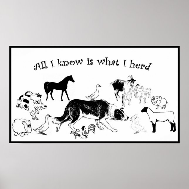 All I know is what I herd~Border Collie Print (Front)