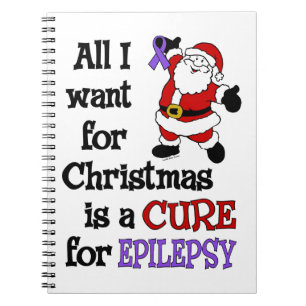 All I Want For Christmas...Epilepsy Notebook