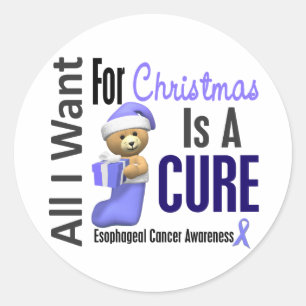 All I Want For Christmas Esophageal Cancer Classic Round Sticker