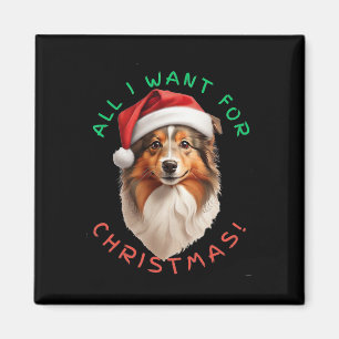 All I Want For Christmas! For Shetland Sheepdog Do Magnet