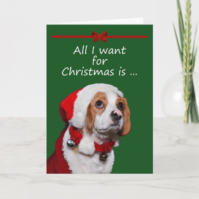 All I Want For Christmas Greeting Card (Front)