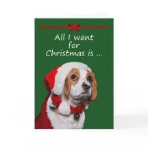 All I Want For Christmas Greeting Card