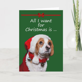 All I Want For Christmas Greeting Card