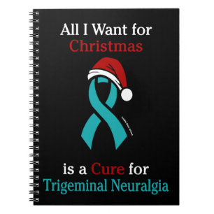 All I Want for Christmas/Hat...TN Notebook