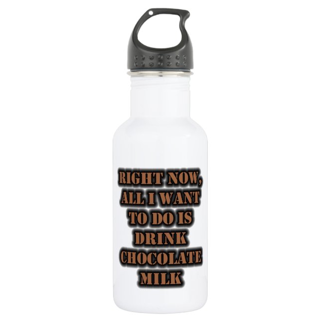 All I Want To Do Is Drink Chocolate Milk 532 Ml Water Bottle (Front)