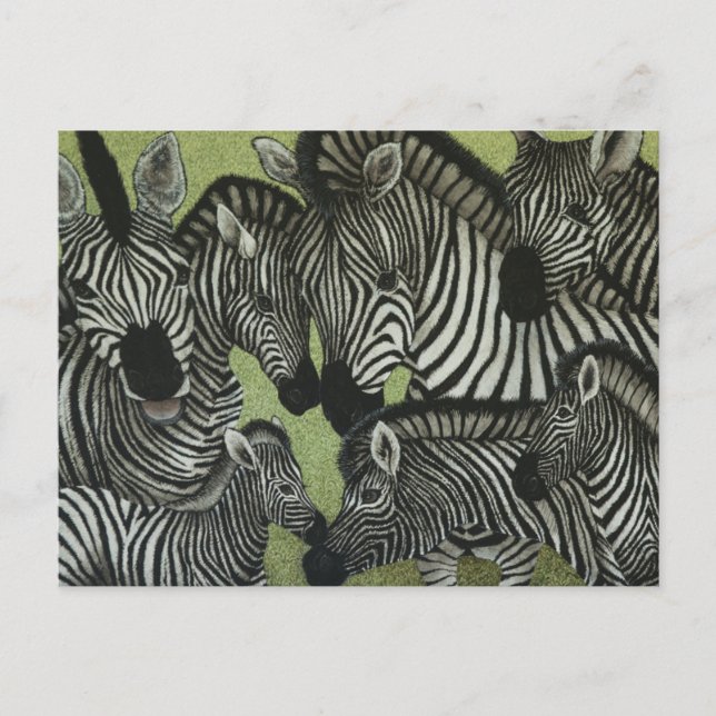 All in black and white postcard (Front)