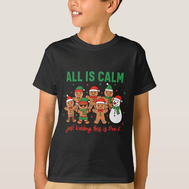 All Is Calm Just Kidding This Is Pre-k Preschool T T-Shirt (Front)
