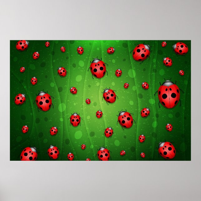 All is Full of Ladybugs Poster (Front)