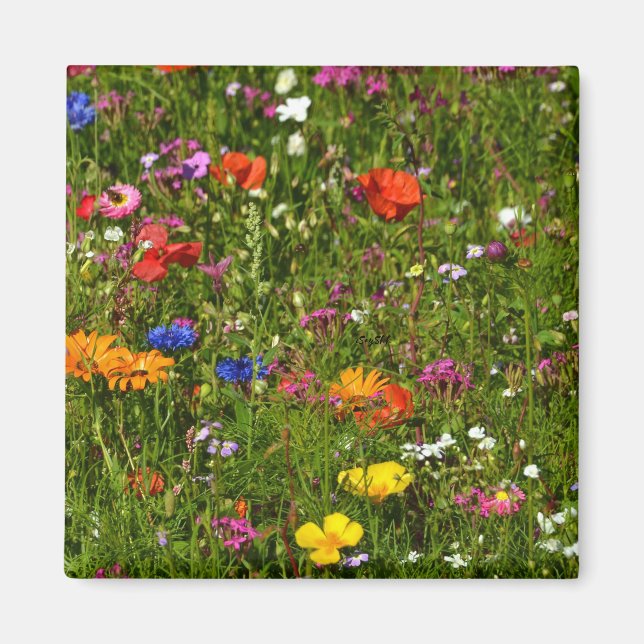 all kind of beautiful flowers magnet (Front)