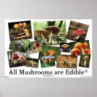 All Mushrooms Are Edible*