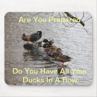 All My Ducks in A Row Mouse Pad