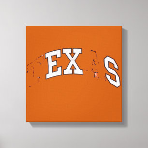 All My Exes Live In Texas Canvas Print