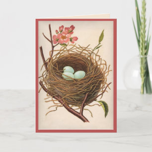 All Ocassion Birdnest Thank You Note