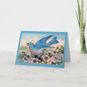 All Ocassion Bluebird Thank You Note