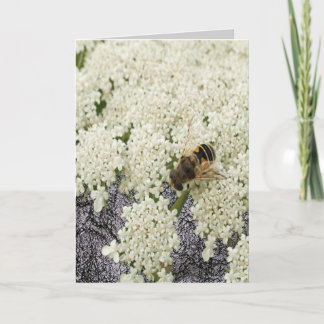 All Ocassion Queen Annes Lace Black Leather Card