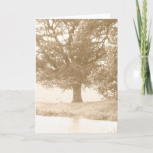 All Occasion Card
