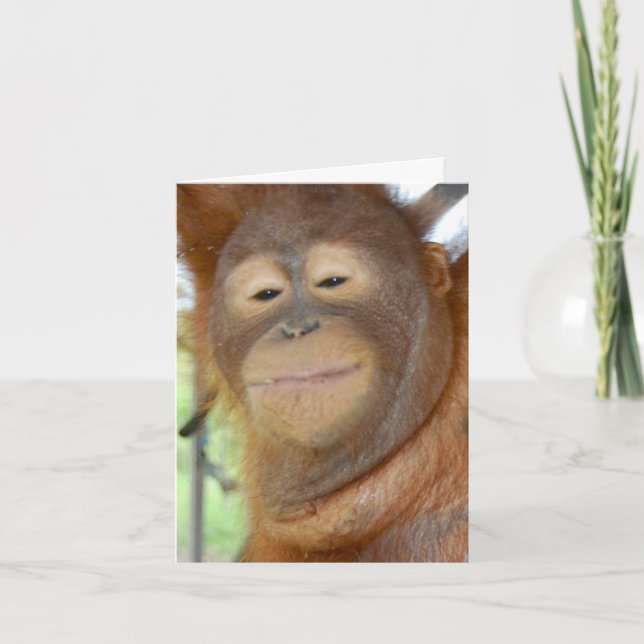 All Occasion - create your own greeting card (Front)