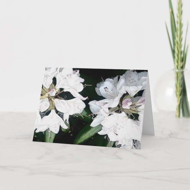 All Occasion Greeting Card (Blank Inside) (Front)