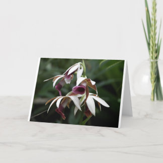 All occasion greeting card with beautiful flower